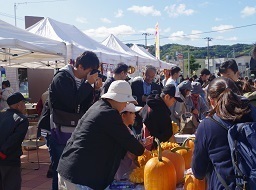 第27回国際友好ジャンボかぼちゃ祭り全景